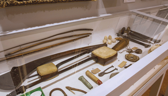 Some of the surviving artifacts on display in the exhibition “The Lost Museum,” in Rhode Island Hall through May 2015. (Credit: Jodie Goodnough)