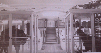 The Museum of Natural History and Anthropology, circa 1890. (Credit: Brown University Archives)