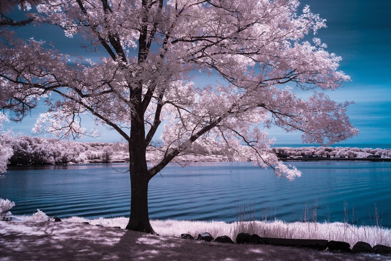 Swan Point Cemetery. Photo by Brian Kimble