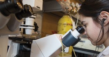 LOOKING FOR CLUES: Graduate student Saba Baskoylu works in Anne Hart’s lab.