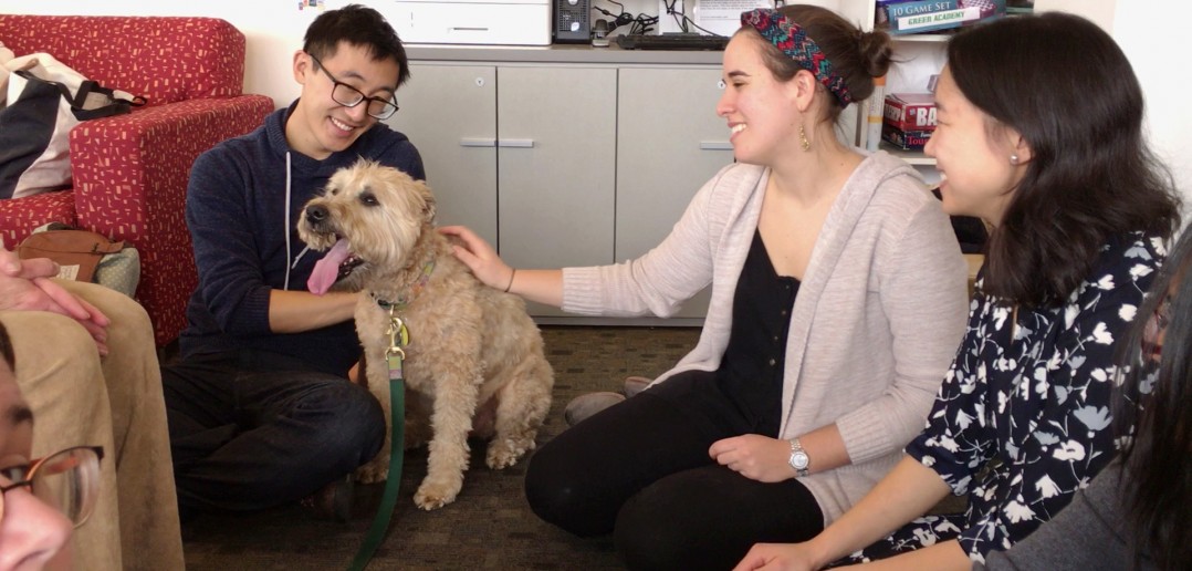 From left, Hans Gao ’14 MD’18; Fletcher, a soft-coated wheaten terrier; Aviya Lanis MD’18, one of the leaders of the Health and Wellness Initiative; and Alice Tin, MPH MD’16, of One Health. Photo by David DelPoio