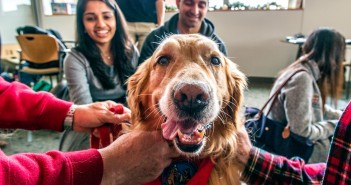Sanchita Singal ’13 MD’17, left, and Anshul Parulkar ’10 MD’18 get to know Independence, a golden retriever. Photo by David DelPoio