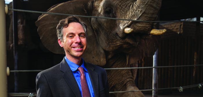 DREAM TEAM : Schiffman goes to Utah’s Hogle Zoo almost every weekend with his three kids. He collaborates with the zoo’s elephant keepers in his cancer research. Photo by August Miller