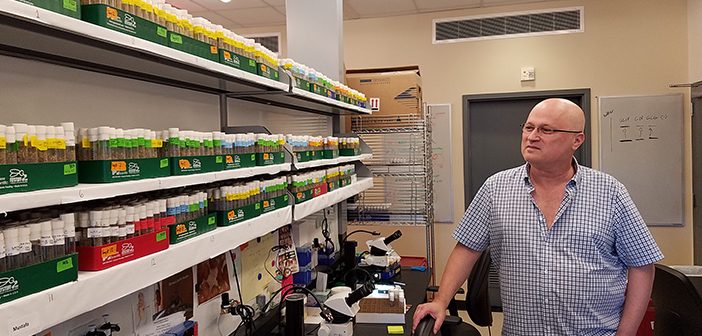 Gilad Barnea surveys shelves full of research flies in his lab. With trans-Tango he and his research team found new connections linking taste-sensing organs in the fly with specific regions in the brain. Photo by David Orenstein
