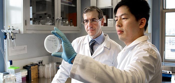 Eleftherios Mylonakis in the lab with Kiho Lee, who is holding a petri dish containing nematodes used to test potential antibiotics. Photo courtesy of Lifespan