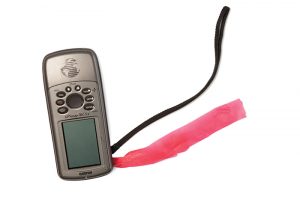 LOST WITHOUT IT: A handheld GPS helps Whitfeld record exactly where he finds specimens. The pink flagging helps him find the GPS on the forest floor, where it tends to blend in.