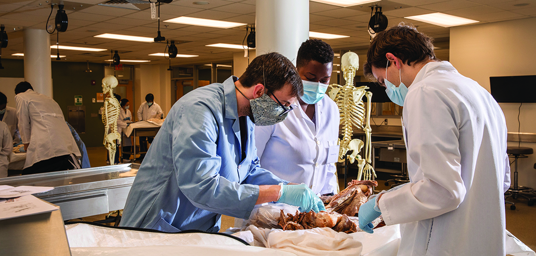 Student dissecting a cadaver